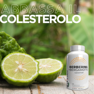 berberina-bergamotto-regola-colesterolo