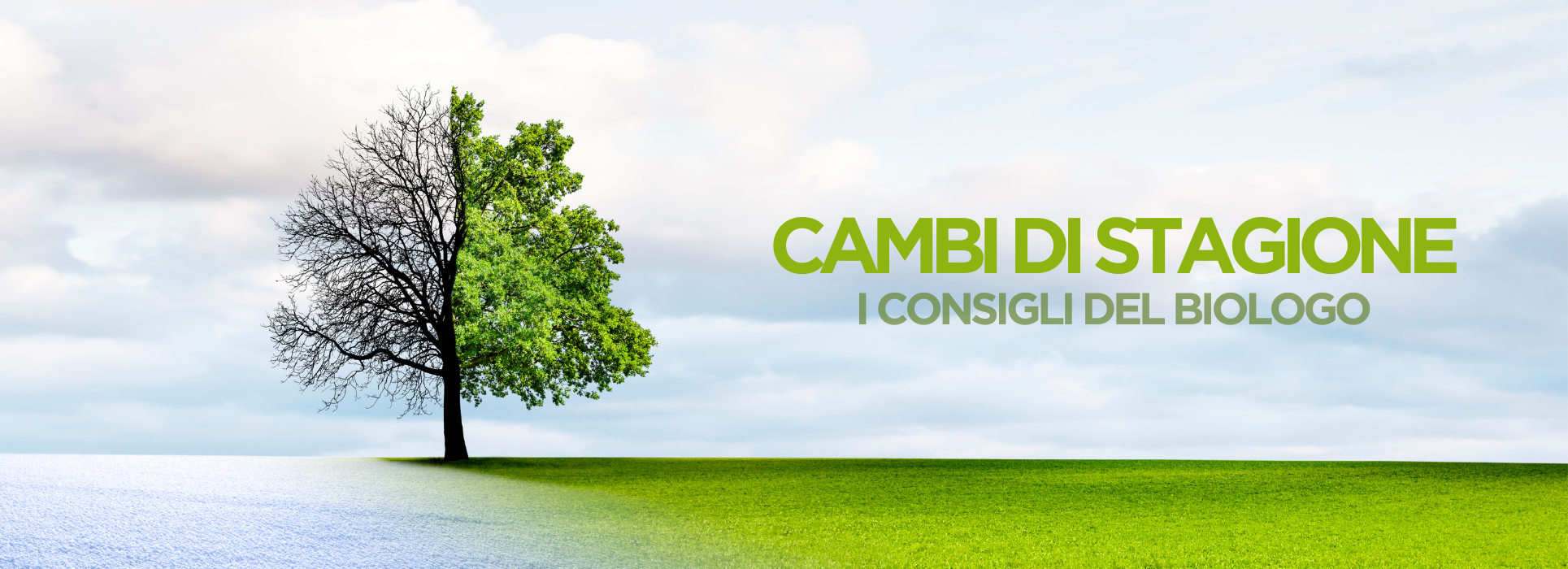 cambio di stagione integrazione