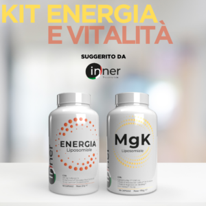 integratorienergia inner magnesio potassio ginseng