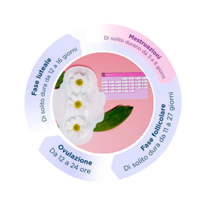 fasi ciclo mestruale