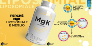 azione-tecnologia-liposomiale-assorbimento-magnesio